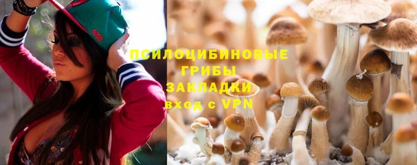 молекула духа Козельск