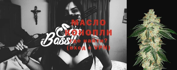 гидра Кинешма