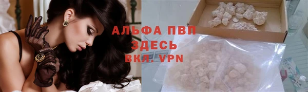 гидра Кинешма