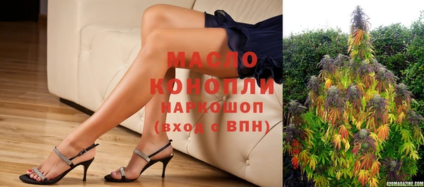 молекула духа Козельск