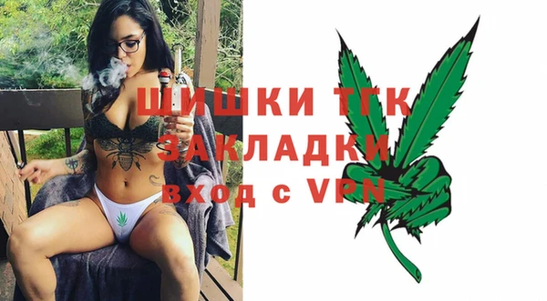 молекула духа Козельск