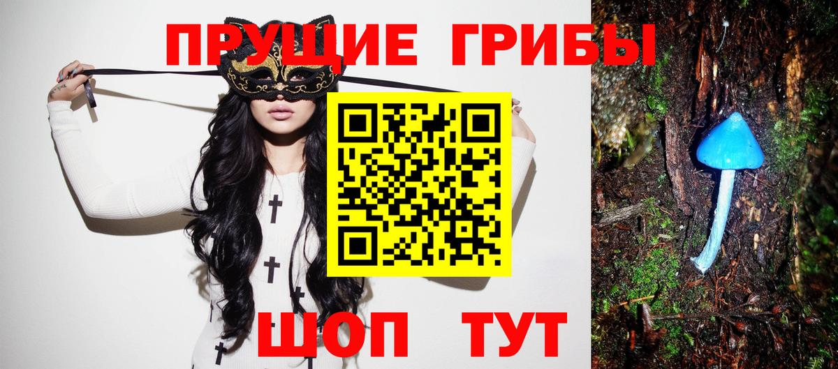 магазин    Псилоцибиновые грибы прущие грибы  Вход с VPN  Красноперекопск  Псилоцибиновые грибы Psilocybine cubensis 
