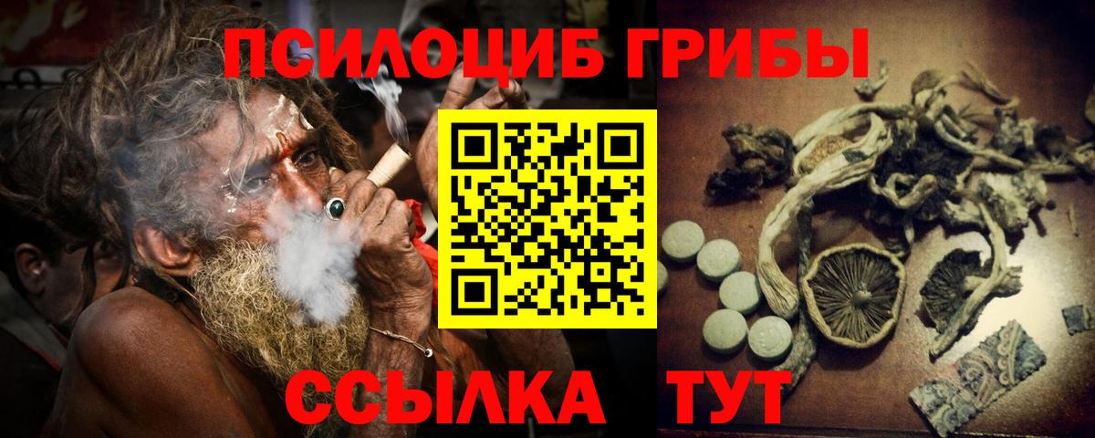 Псилоцибиновые грибы Cubensis  купить наркотики сайты  Красноперекопск 