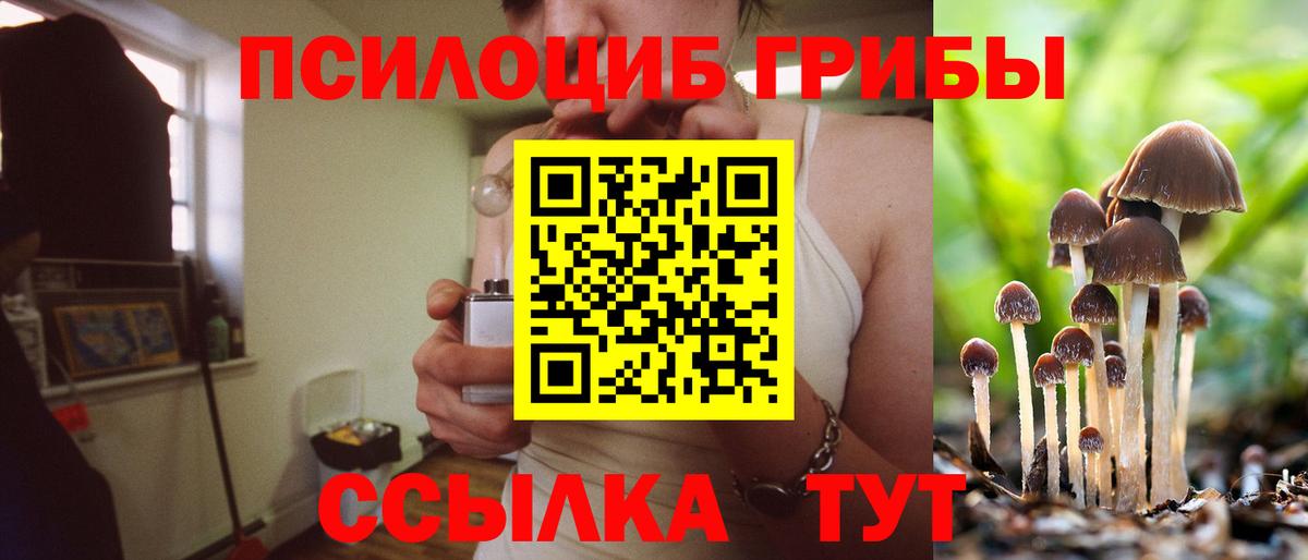 Псилоцибиновые грибы мухоморы Красноперекопск